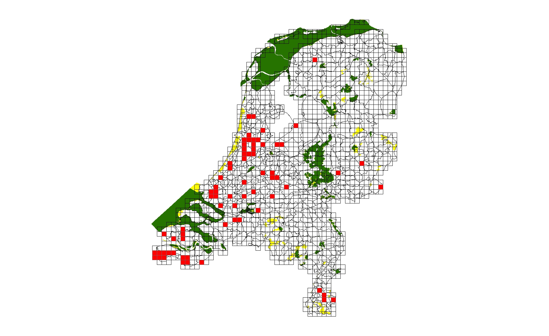 bijenorchis.jpg