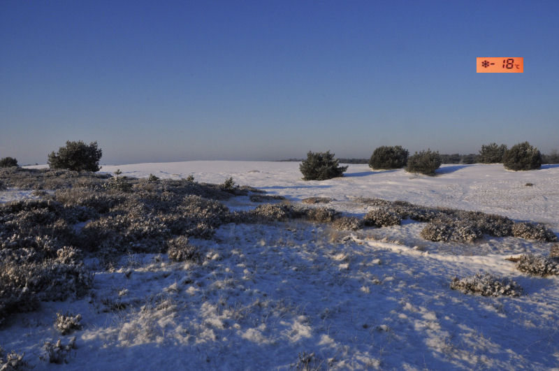 Hoge Veluwe 04-02-2012.jpg