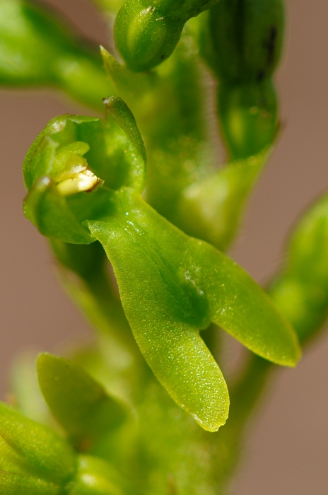 PW20120421135534_01.jpg