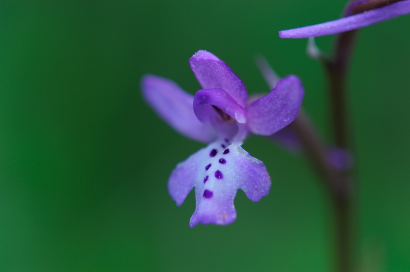PW20120429131919.jpg