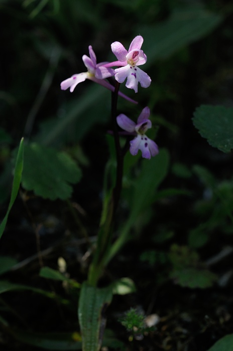 PW20120503095035.jpg