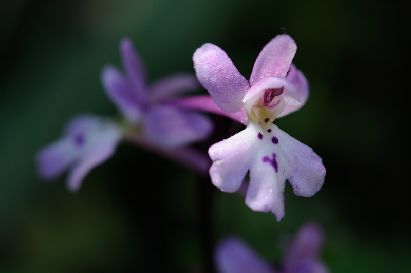 PW20120503095232.jpg