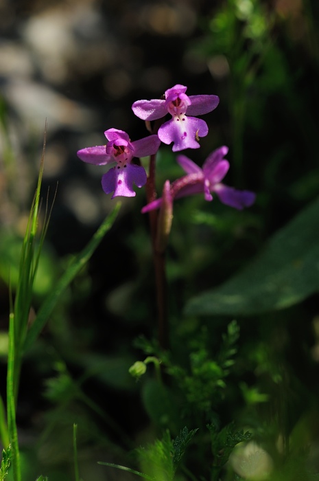 PW20120429130642.jpg