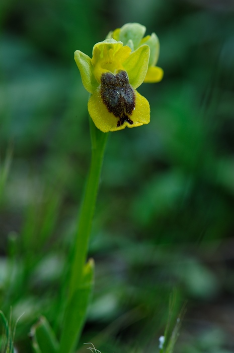 PW20120429131232.jpg