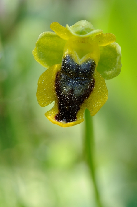 PW20120429131642.jpg