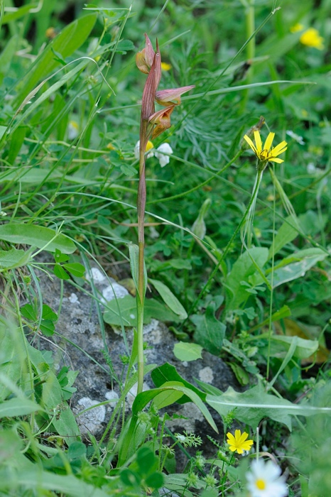 PW20120503093832.jpg