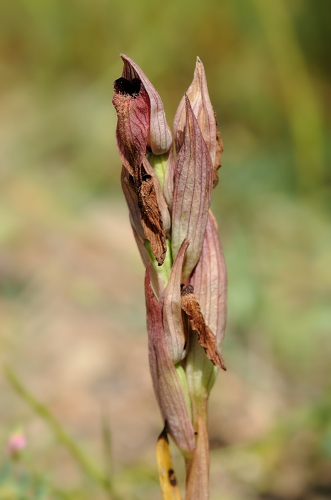PW20120430132353.jpg