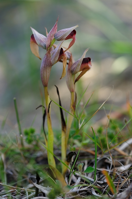 PW20120428112645.jpg