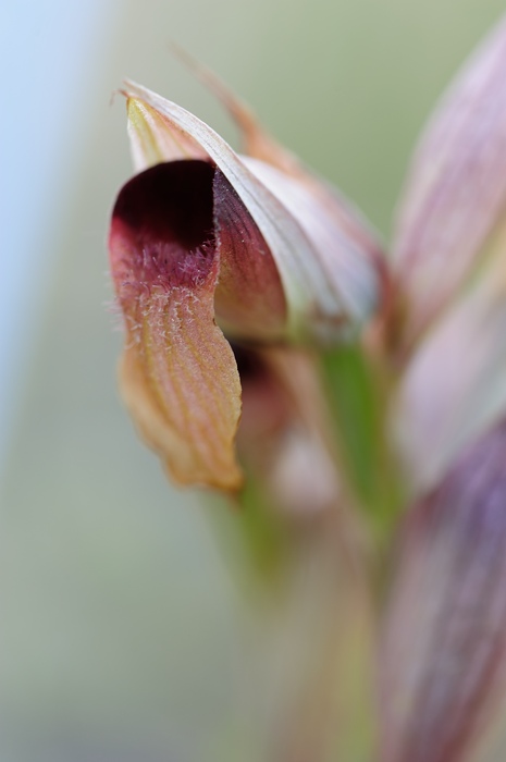 PW20120428112926.jpg