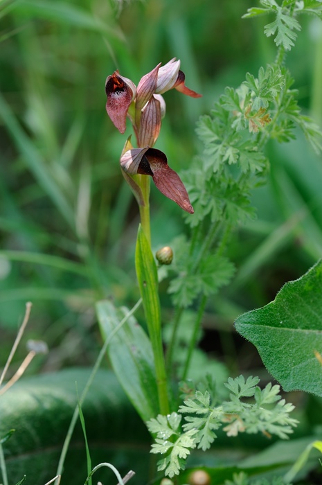 PW20120430132353.jpg