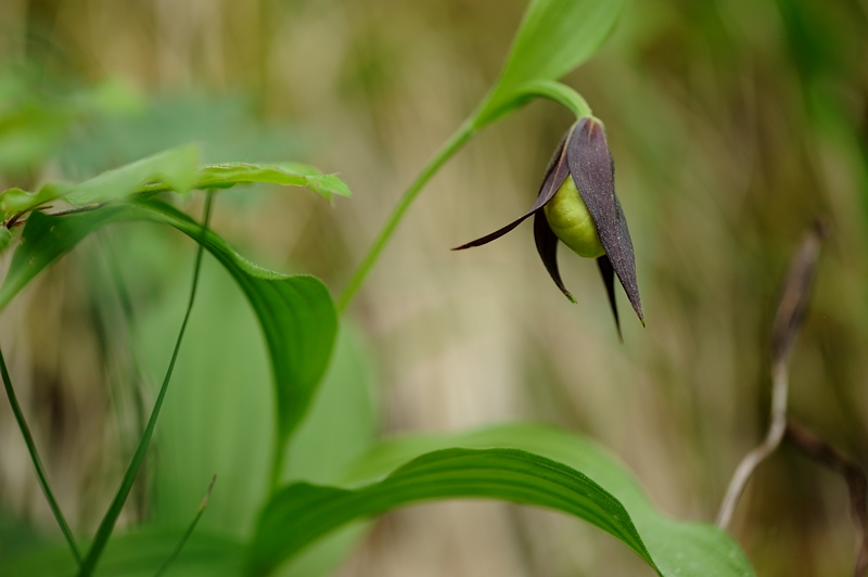 PW20120528121605.jpg