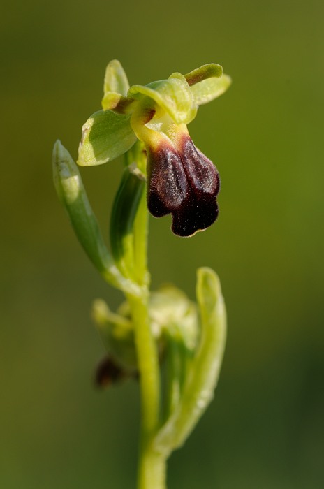 PW20120529072713.jpg