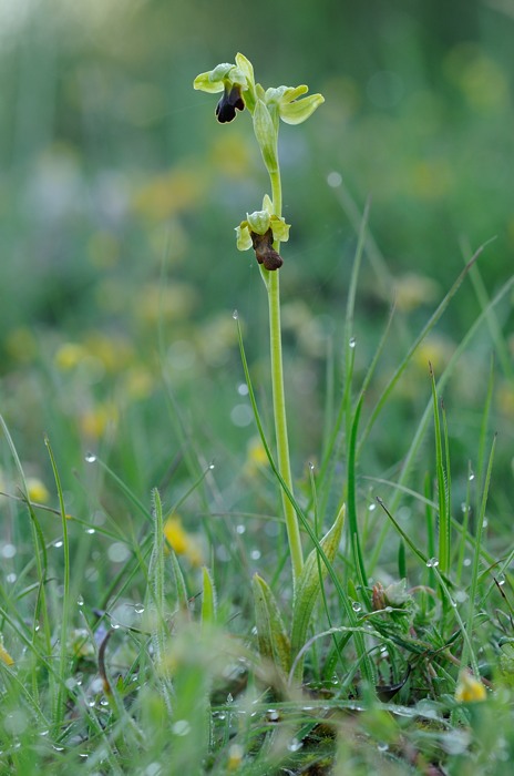 PW20120529071316.jpg