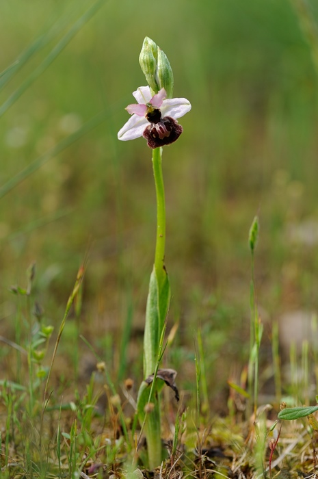 PW20120529104308.jpg
