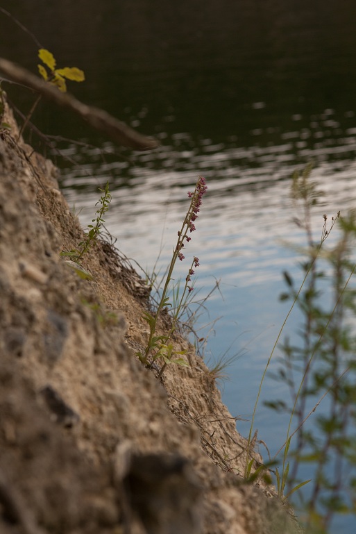 25062012-IMG_9324-2.jpg