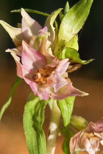JD_20081027_308.jpg