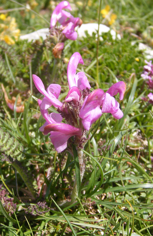 DSCF3764.JPG