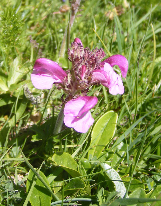 DSCF3790.jpg