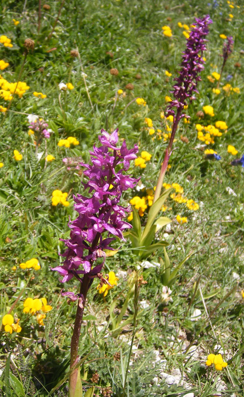 DSCF3791.JPG