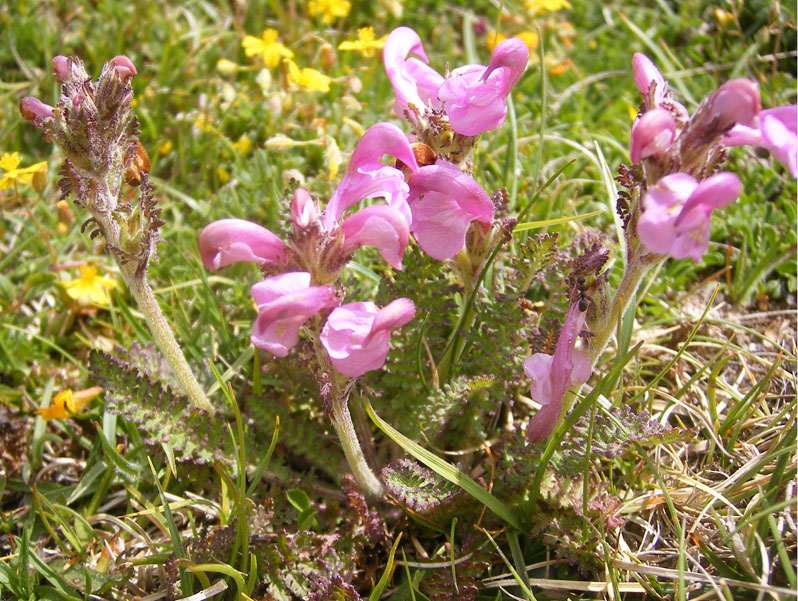 DSCF4015.JPG