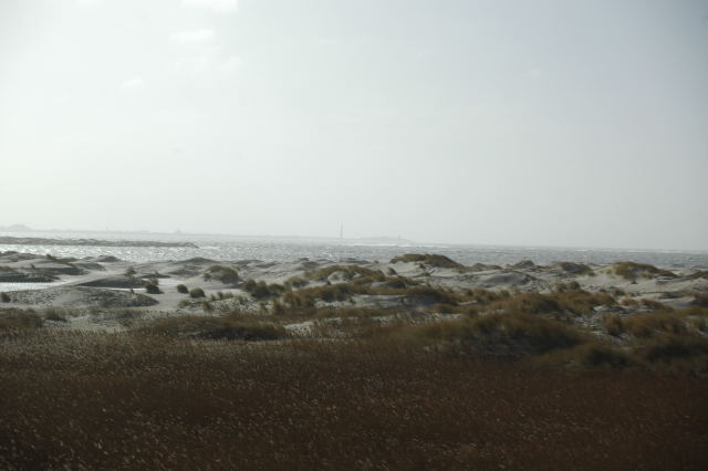 DSC_0362.jpg