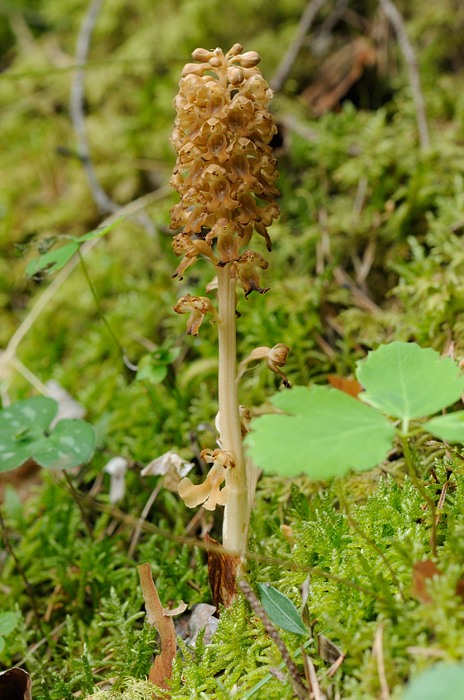 PW20110601_084711.jpg