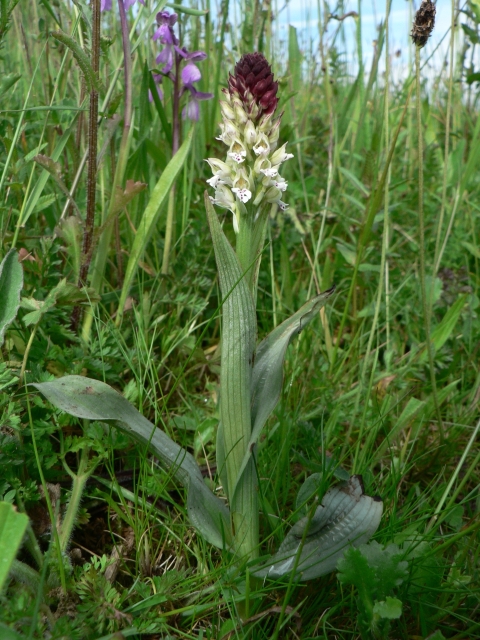 P1240163#1.jpg