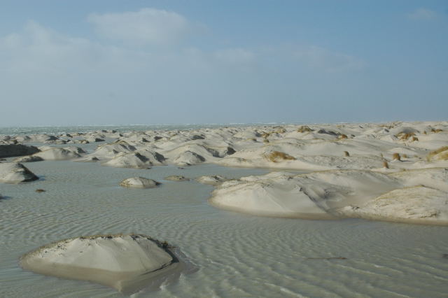 DSC_0341.jpg