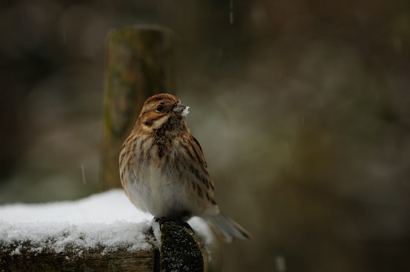 PW20130214_165953.jpg