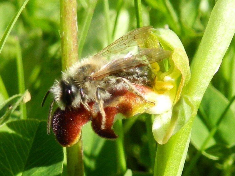 RSCN0034_01 (800 x 600).jpg