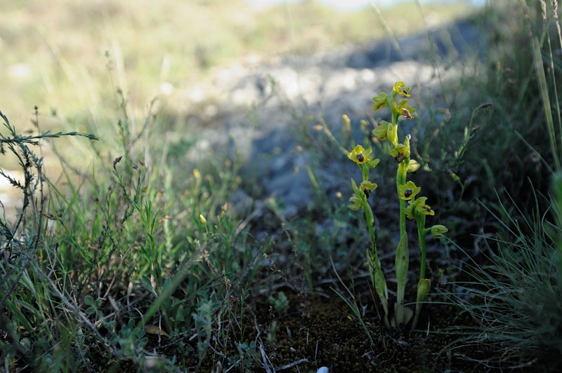 PW20130511_090136.jpg
