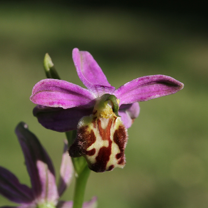 2013_06_25_18_10_25 (1) A.jpg