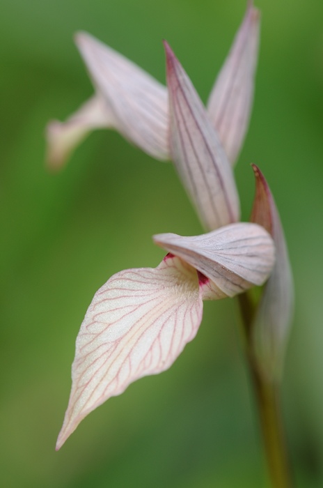PW20130428_123447.jpg