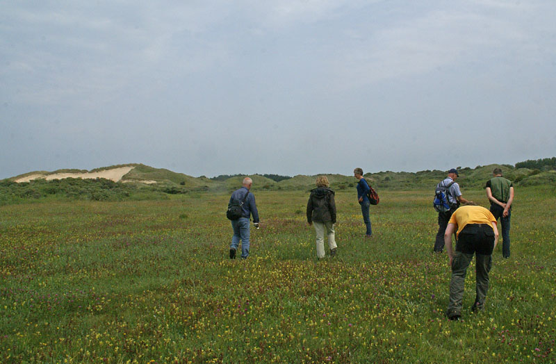 het "verbrande vlak"