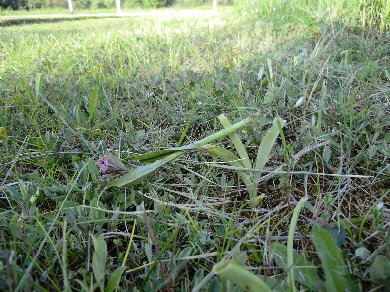 foto´s 200 013.JPG