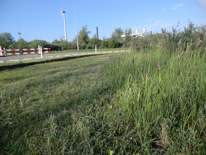 foto´s 200 011.JPG
