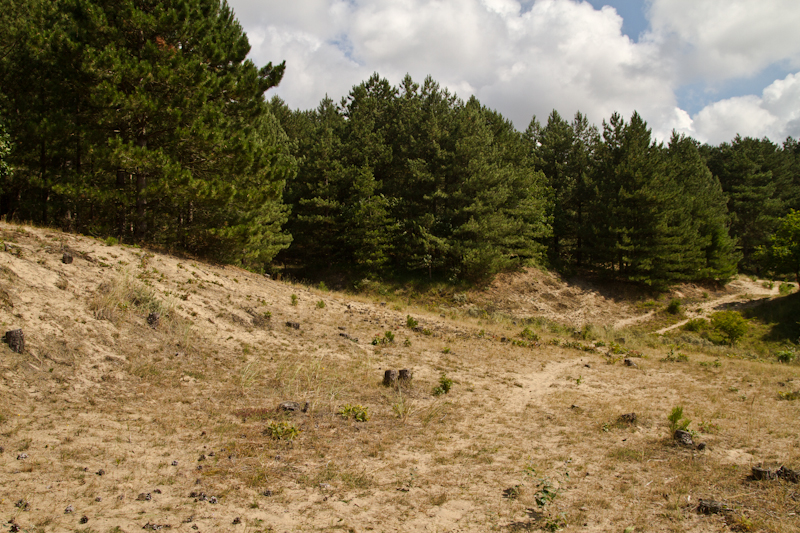 11082013-IMG_3385.jpg