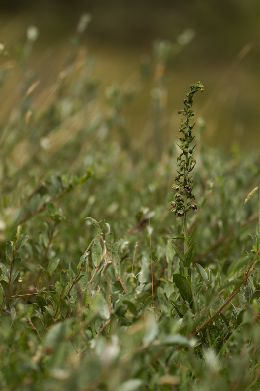 11082013-IMG_3330.jpg