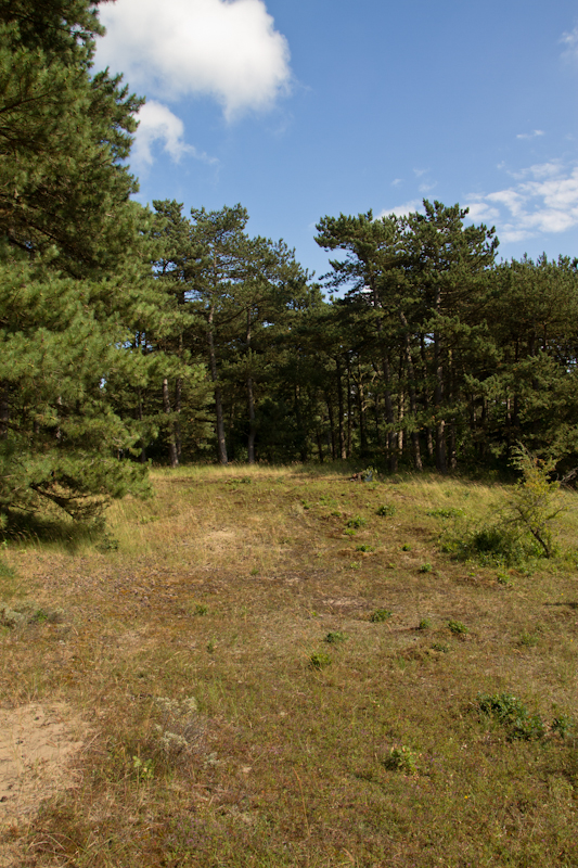 11082013-IMG_3436.jpg