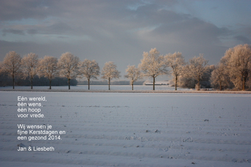 tbv kerstkaart 2013-2014.JPG
