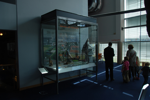 vitrine.jpg
