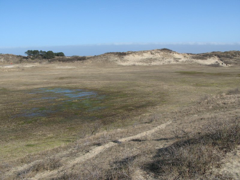 2009-03-15 Katwijkse Duinen IMG_4946.JPG