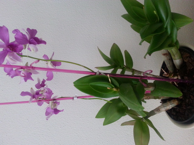 20140622_121123.jpg