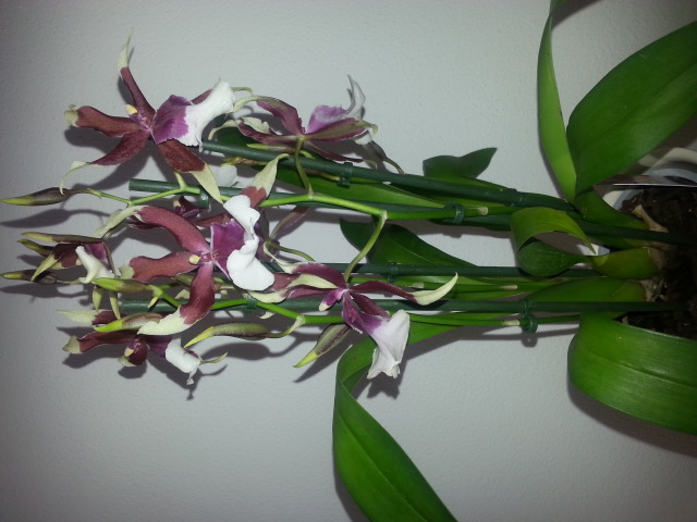 20140622_121034.jpg