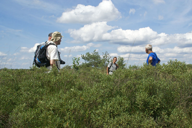 Nyrstar/ARK terrein, Gagel