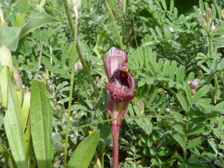 P1020259.JPG