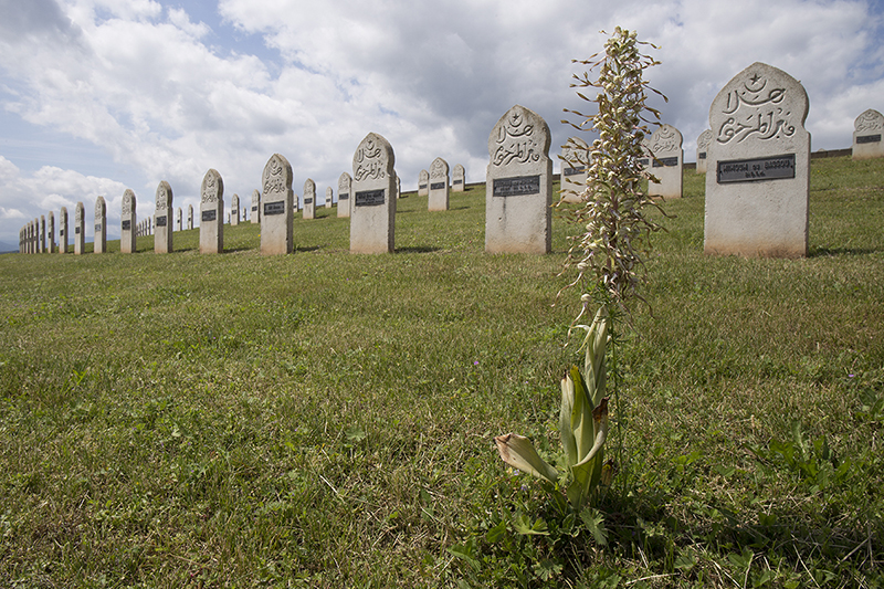 bokken-necropool (small).jpg