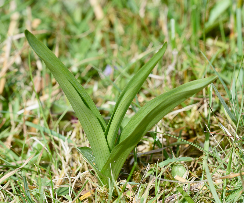 20150513_133550_WEO.jpg