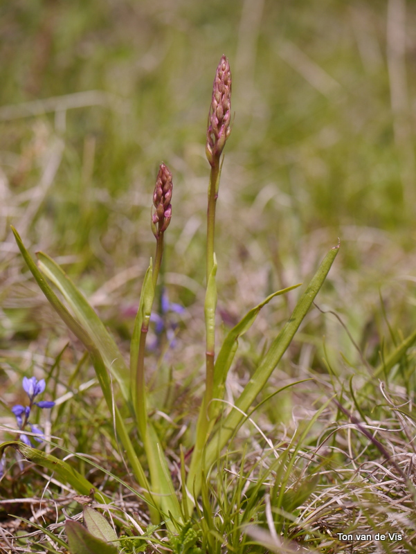 P1320175.JPG