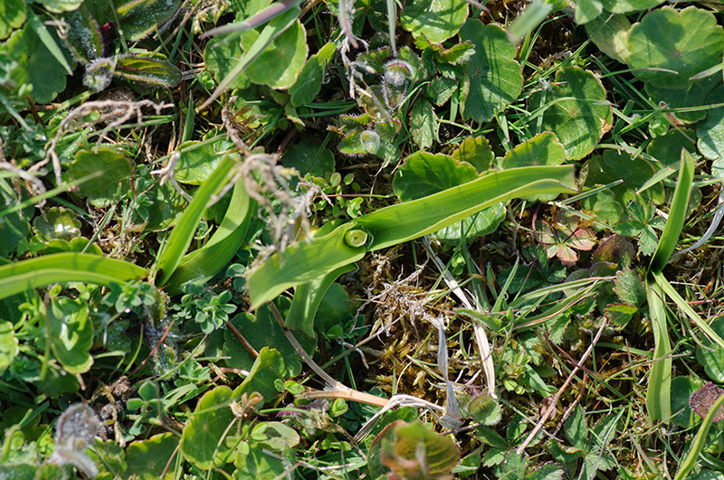 DSC_7960.jpg